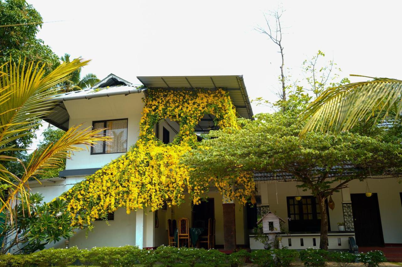 Marari Blue Waves Apartment Mararikulam Ngoại thất bức ảnh